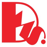 Digital Mirror Solution Logo
