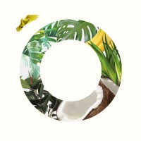 COCOA, Lîle de créativité Logo