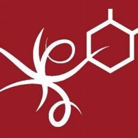 KaMasaJei BioDynamics Onsite Massage Logo
