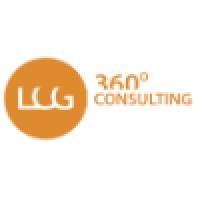 LCG 360°Consulting Logo