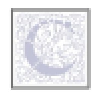 Cabell Design Studio Logo