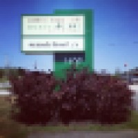 Creative Dental Solutions Logo