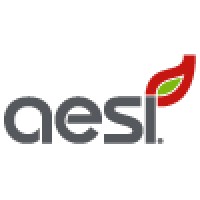 Alternative Energy Solutions International, Inc. Logo