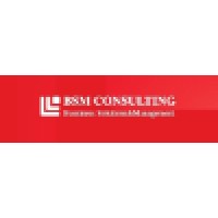 BSM Consulting Logo
