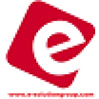e SOLUTION Group Logo