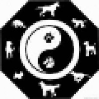 Four Paws Acupuncture Logo