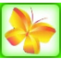 Social Butterfly Marketing - Official Company Logo