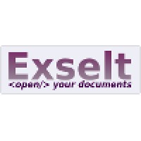 Exselt Services Logo