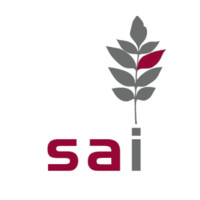 SAI Strategy Analysis International Logo