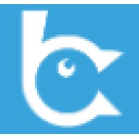 Brandshout Web Design Peterborough Logo