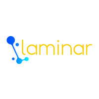 Laminar Consulting Services Inc. Logo