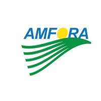 Amfora Logo