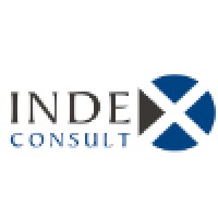 INDEX Consult Logo
