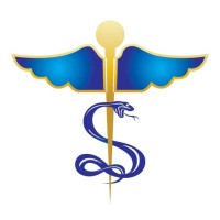 Doctors Wealth Planning Logo