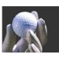 GolfEventCoach.com Logo