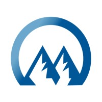 Momentum Group Logo
