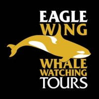 Eagle Wing Whale & Wildlife Tours Logo