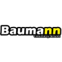 Baumann Consultancy Network Logo