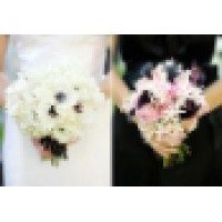 The David Rohr Floral Studio Logo