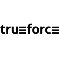 Trueforce, Inc. aka AssureSoft Digital Logo