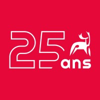 DELAN - Chasseurs de Talents en TI Logo