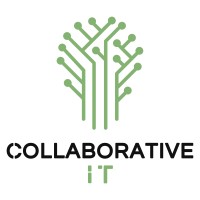 Collaborative Insight Technologies Logo