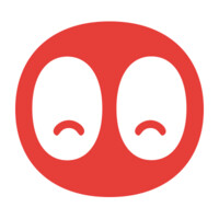 Camaloon Logo