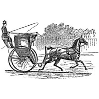 Hansom Wealth Management Logo