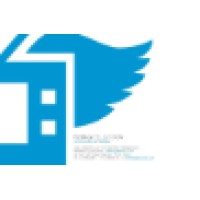 Flying Television Logo