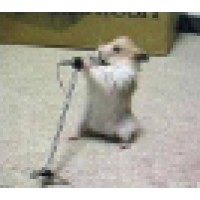 The HAMS Harm Reduction Network, Inc Logo