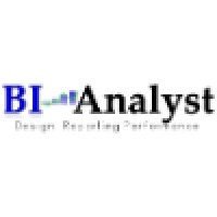 BIAnalyst GmbH & Co.KG Logo