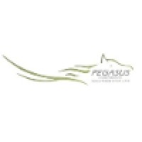 Pegasus Corporate Solutions Pvt Ltd Logo