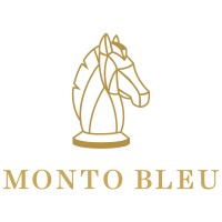 Monto bleu Logo