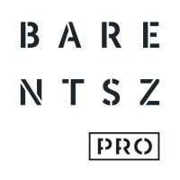 Barentsz Professionals Logo