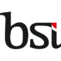 BSI Capital Group Logo
