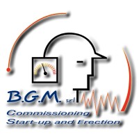 B.G.M. SRL Logo