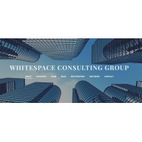 Whitespace Consulting Group Logo