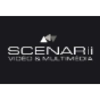 Scenarii V&M Logo