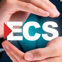 e-Corp Sistemas S.L. Logo