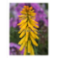 Thunderwood Farms, LLC Logo