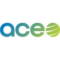 ACE srl Logo