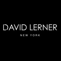 David Lerner NY Logo
