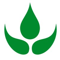 ForestNation Logo