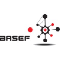 Bay Area Science and Engineering Fair Logo