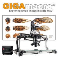 GIGAmacro Logo