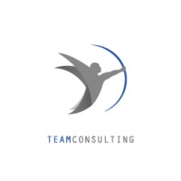 Team Consulting International Logo