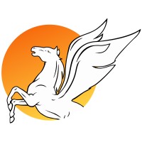 Chetak Travels Pvt. Ltd. Logo
