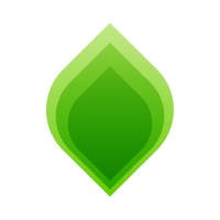 Verdis Group Logo