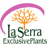 La Serra ExclusivePlants Logo