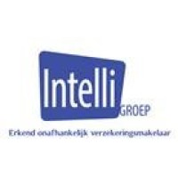 INTELLIGROEP Logo